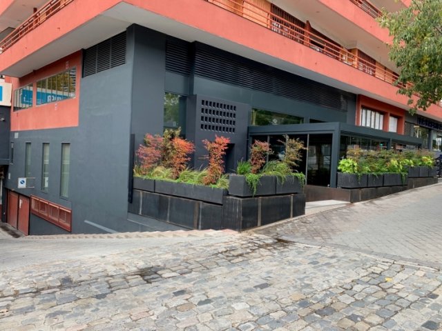Local Comercial Paseo de la Habana 33.